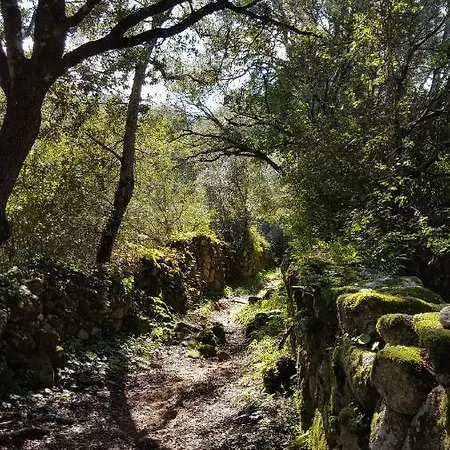 Casa Corsa * Santa-Lucia-di-Tallano