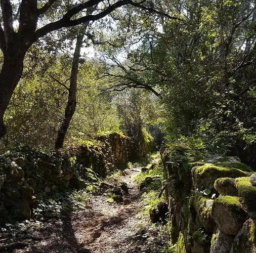 Casa Corsa * Santa-Lucia-di-Tallano